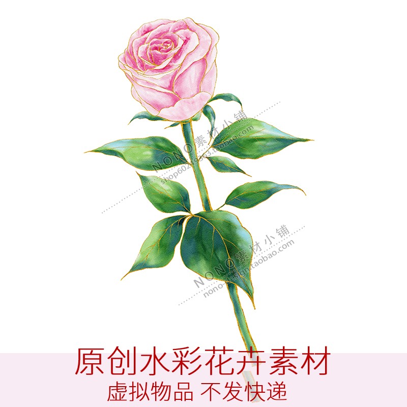 原创水彩手绘PNG免抠图玫瑰花图案婚礼邀请函设计印花可商用素材