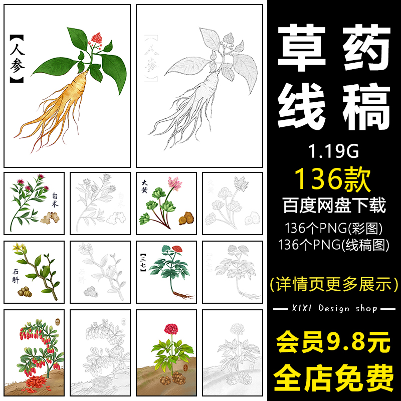 TS22中国风中草药材植物简笔画手绘本草纲目线稿儿童涂色线描素材