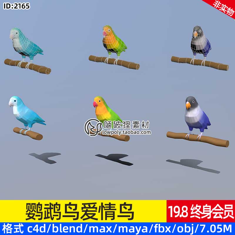 低面鹦鹉鸟类Blender爱情鸟儿C4D卡通宠物birds模型FBX OBJ源文件