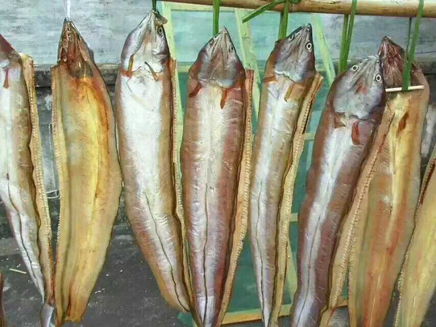 青荷南日岛渔民自晒淡干鳗鱼干野生海鳗干全干可整条可切段一斤装