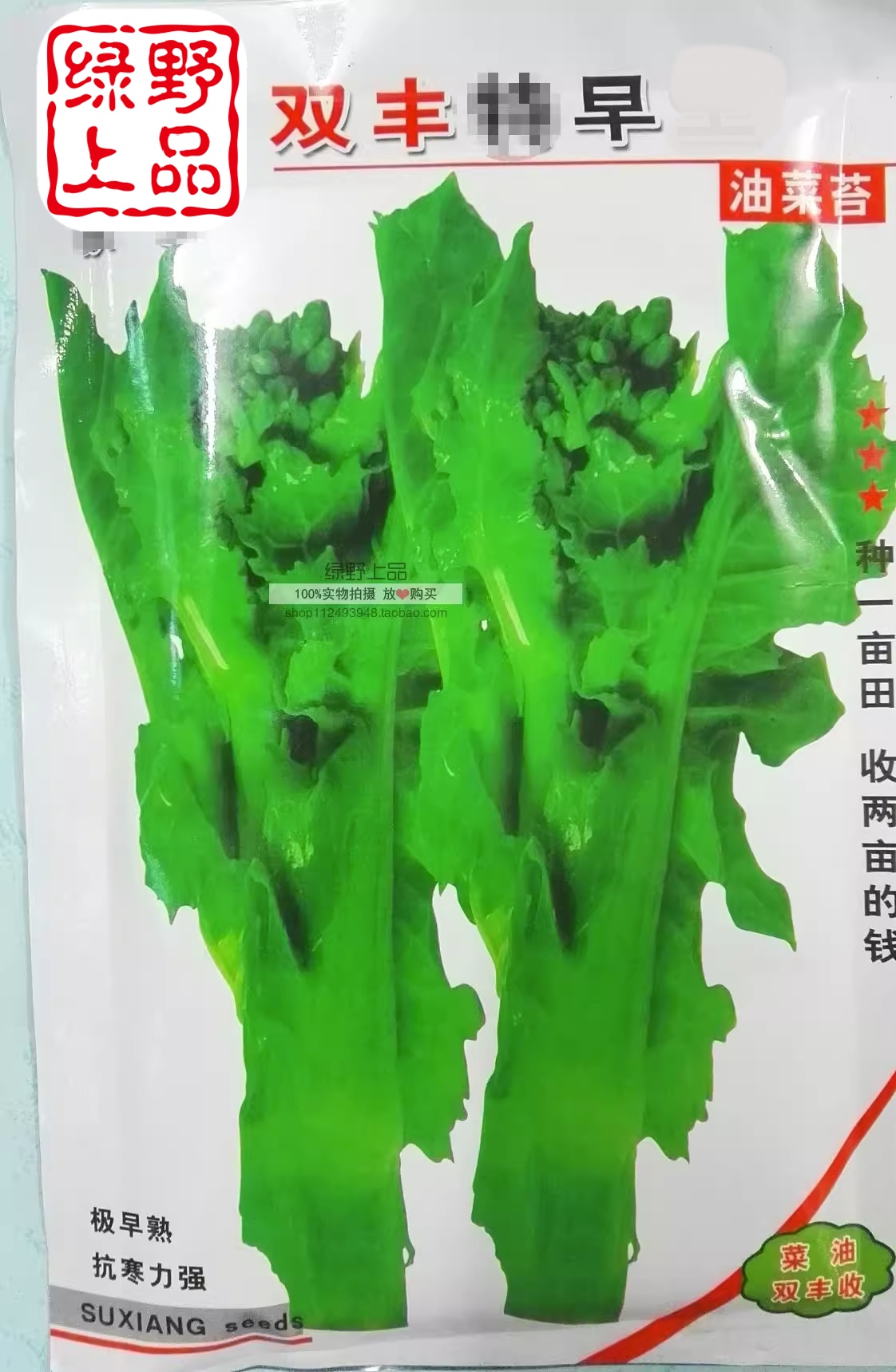 绿野上品|四川油菜苔种子 川早一号菜苔 油菜苔油菜籽两用油菜尖
