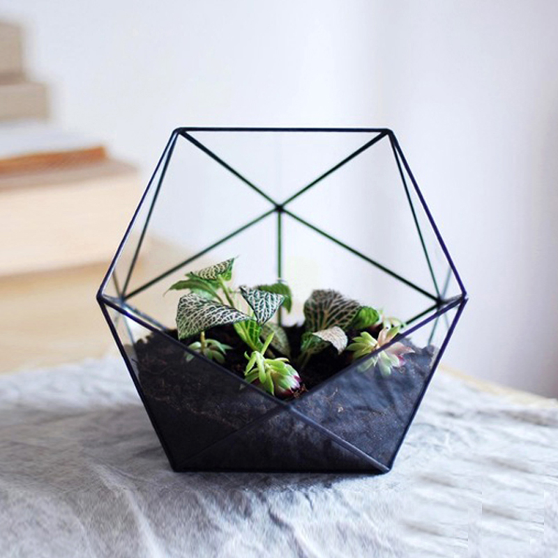 创意花盆多肉植物花盆 玻璃花房花器 微景观几何花房设计师器皿