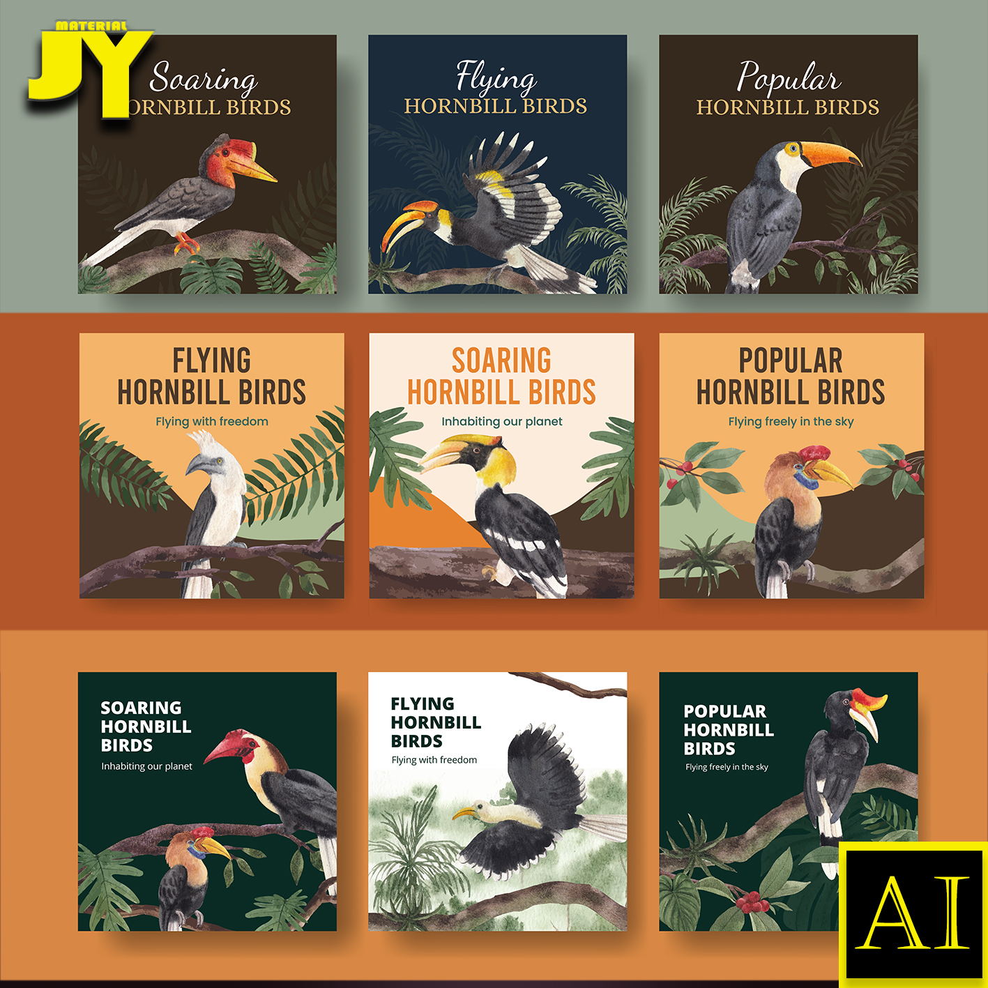 手绘犀鸟啄木鸟原始森林多色各种姿态保护野生动物海报插画素材
