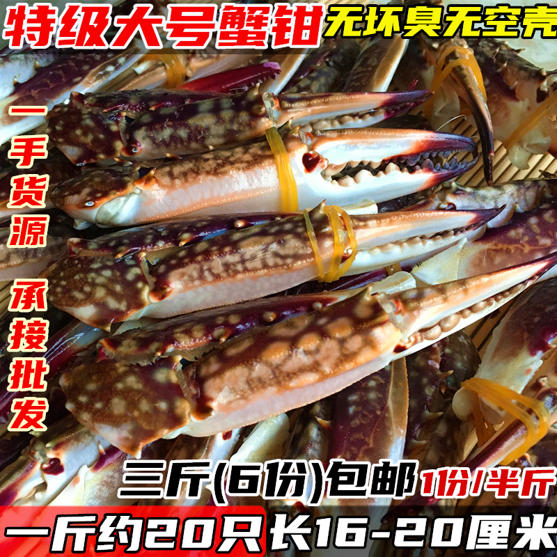 精选特级大号蟹钳梭子蟹新鲜蟹脚海鲜水产冷冻螃蟹腿蟹爪1件/半斤
