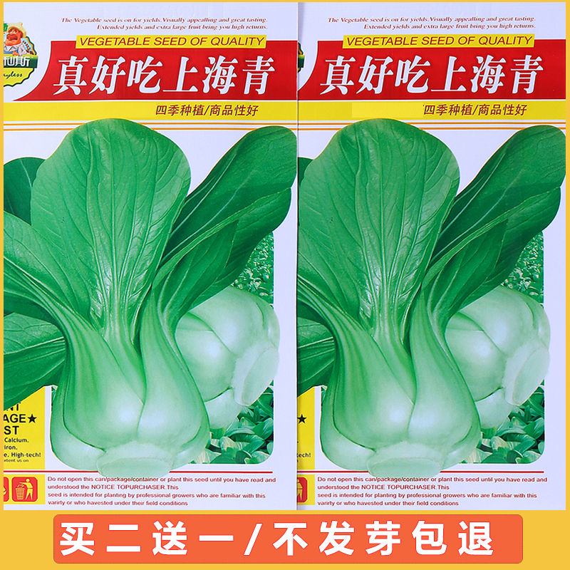 农家上海青菜种籽四季阳台小油菜春秋冬季蔬菜种子矮脚苏州青菜籽