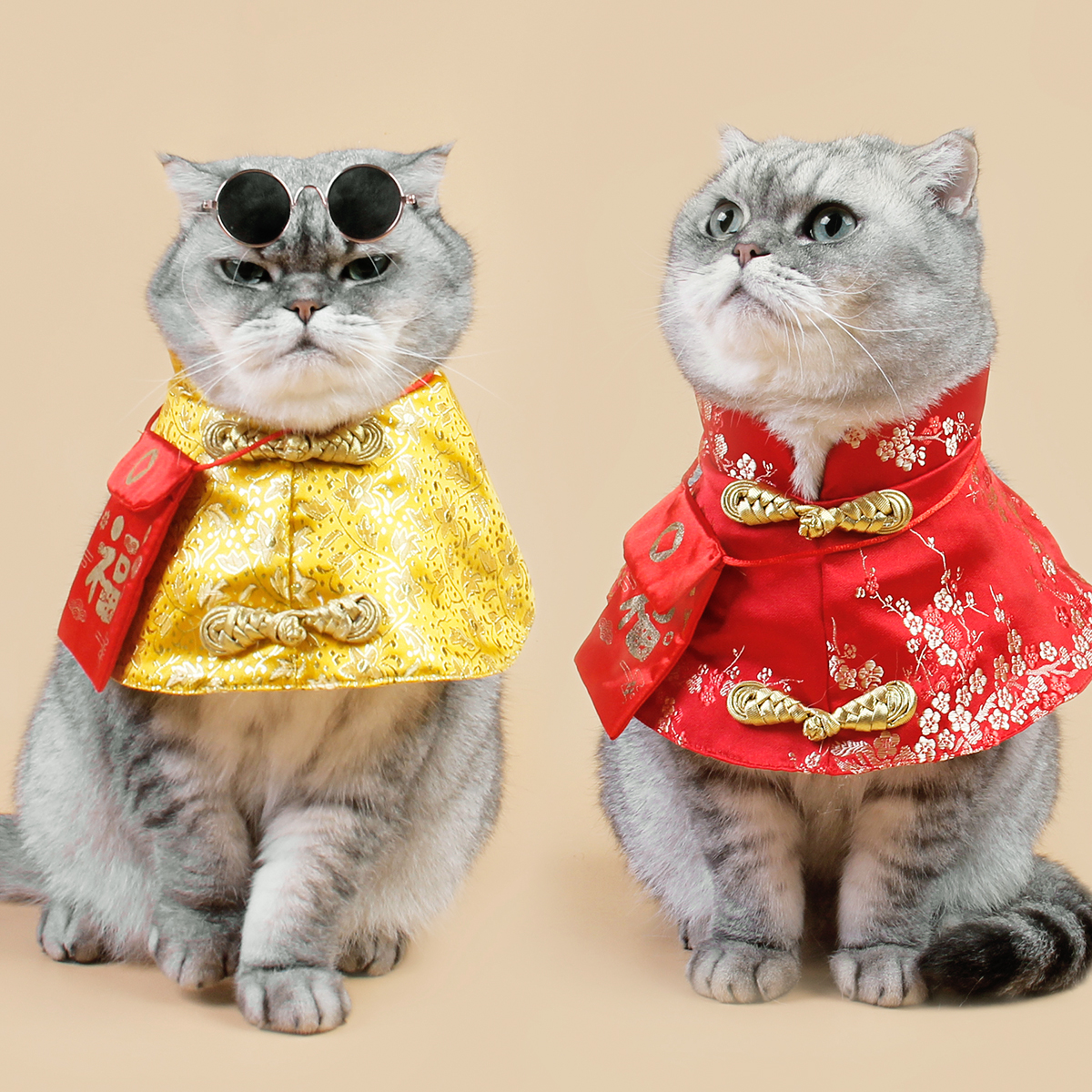 狗狗猫咪新年衣服中国风红包围脖小型犬领结斗篷披风宠物过年服饰