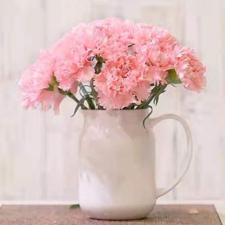 康乃馨鲜花花束白色粉色瓶插花母亲节教师节生日礼物同城鲜花配送