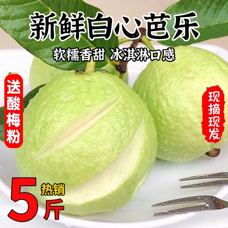 广东芭乐白心番石榴软糯奶油珍珠巴乐9斤当季新鲜水果潘番桃整1箱