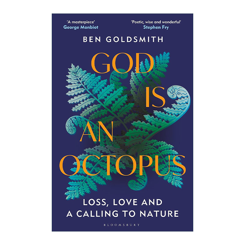英文原版 God Is An Octopus 上帝是一只章鱼 失去 爱和对自然的呼唤 自然写作与个人回忆录 精装 英文版 进口英语原版书籍