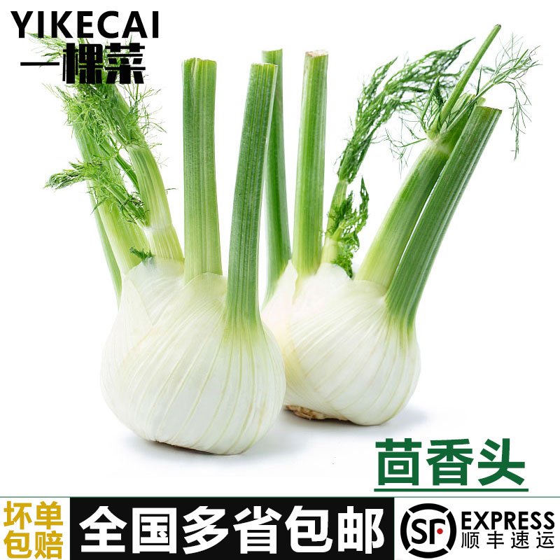 【YIKECAI茴香头1-5斤 新鲜茴香根茴香球茎 西餐料理香料食材