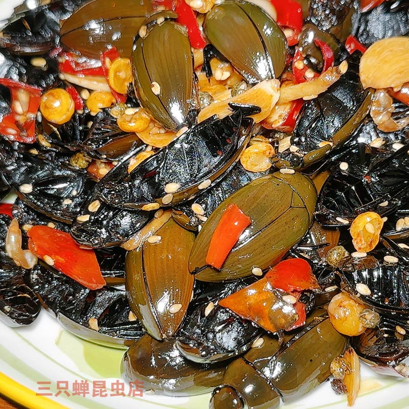 食用昆虫油炸黑龙虱和味射尿龟美味虫子水老鳖特色鳖盖虫黑壳龟虫