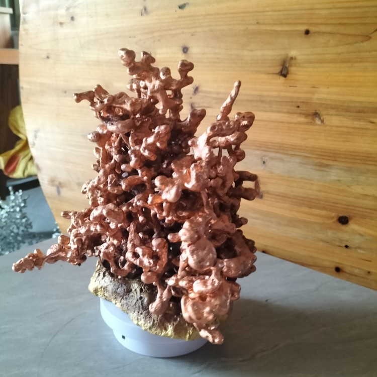 铜制蚁巢 铜制艺术品 蚂蚁巢 白蚁巢 实验器材 展览展示