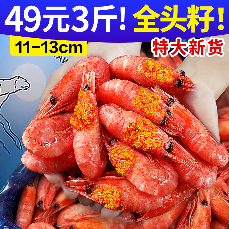 北极虾新鲜甜虾刺身冰虾大虾超大带籽头籽腹籽北极熊海鲜水产鲜活