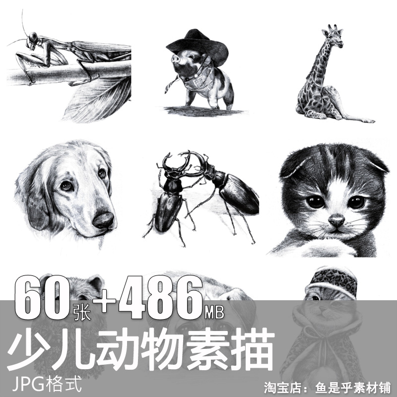 动物素描猫咪少儿童画室创意学习范画高清精致打印临摹电子版素材