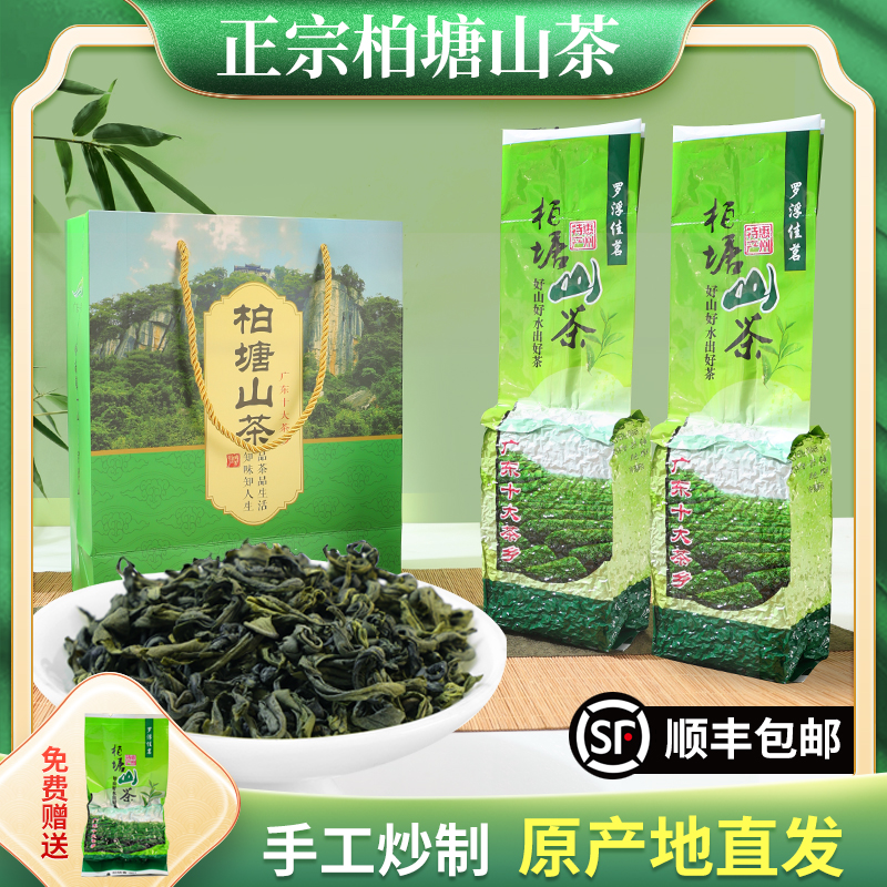 博罗柏塘山茶夏茶广东十大名茶惠州特级炒青绿茶特产罗浮山茶叶