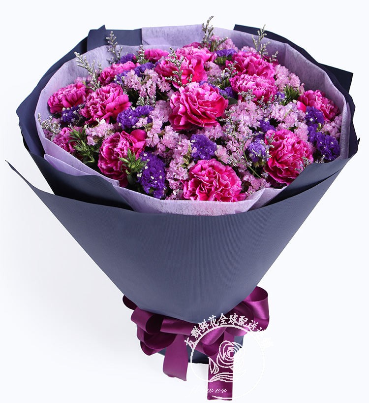 紫色康乃馨鲜花花束广州花店全国配送
