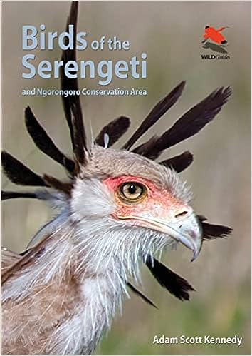 现货 Birds of the Serengeti:And Ngorongoro Conservation Area (Wildlife Explorer Guides, 9) 9780691159102