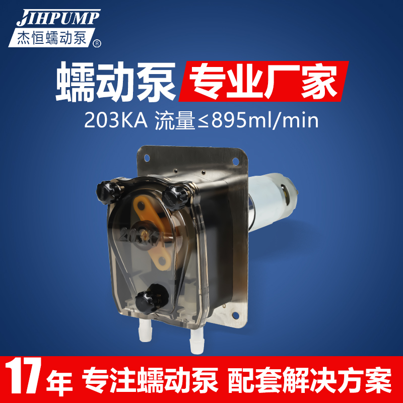 203KA计量蠕动泵小流量抽水泵小型直流12V 24V清洗机抽糖浆泵
