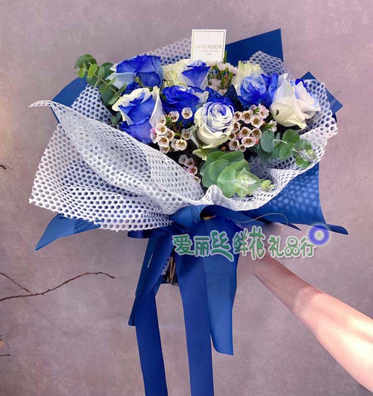 蓝玫瑰花束 北京鲜花店 送花服务 北订花网 网上花店 爱丽丝花店