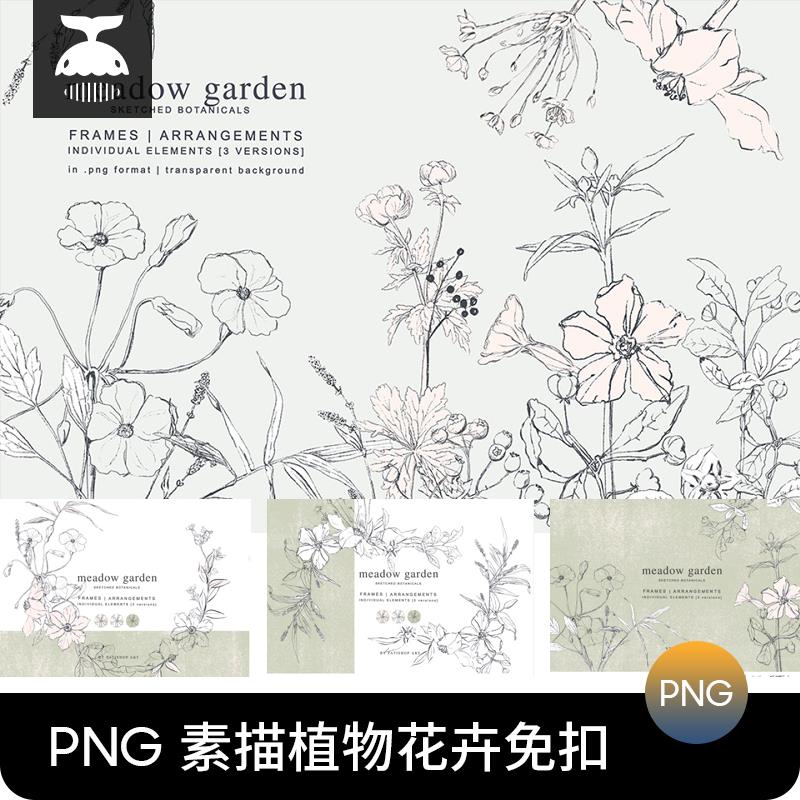 手绘铅笔素描线艺术花卉植物线稿草本包装元素免抠PNG图片素材PS