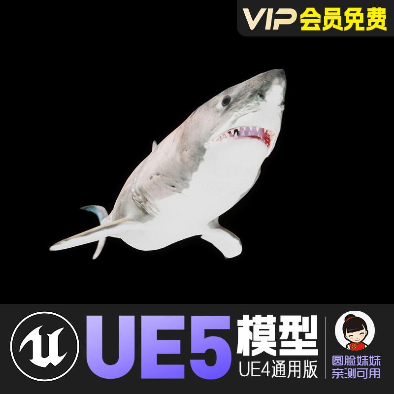 UE5虚幻4_卡通风格化大白鲨动画角色模型 Great White Shark