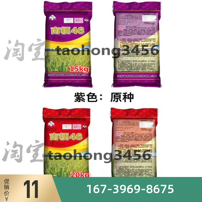 水稻种子南粳46稻谷种籽优质高产常规圆粒粳稻香米种子品种现货