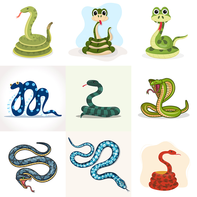 可爱蛇插画