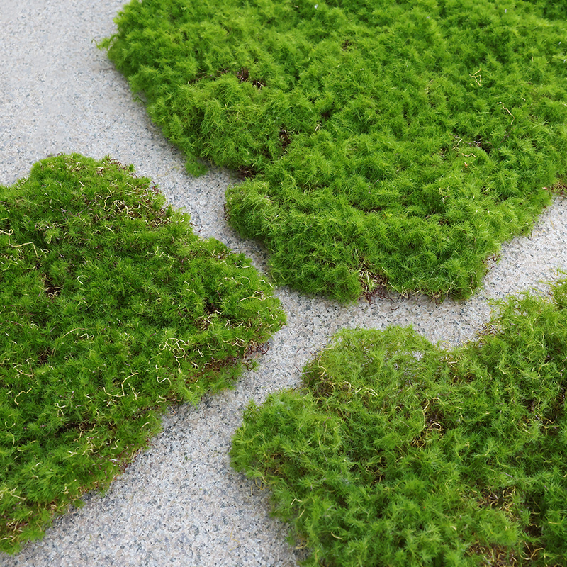 苔藓皮苔藓块青苔植绒摆件软装造景假山草皮草坪毛石头仿真苔藓块