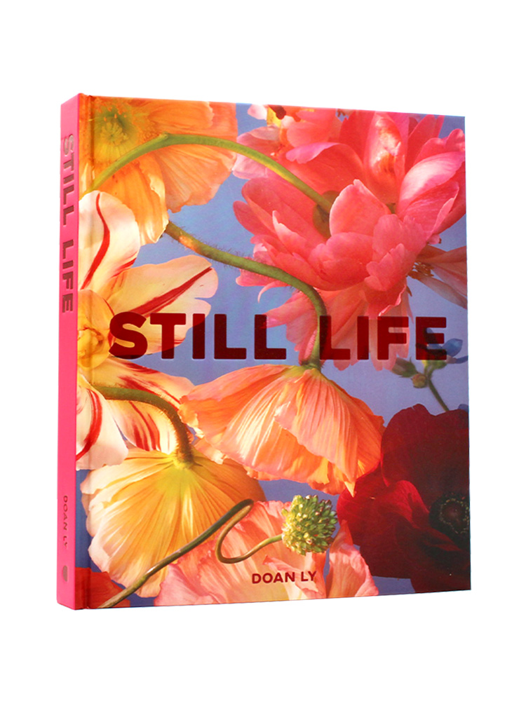 现货包邮 Still Life 静物 花卉创作设计 时尚摄影画册 当代植物艺术 英文原版