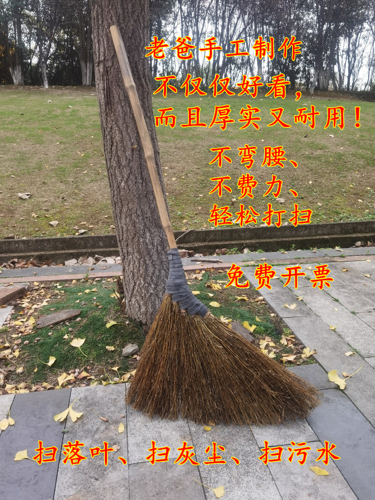 扫把竹