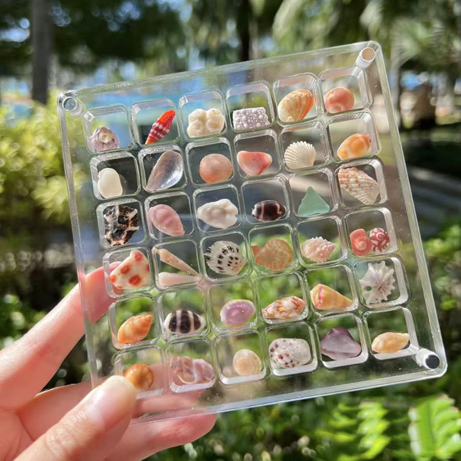 微型贝壳收纳盒亚克力透明海边微石头标本展示收藏磁力收纳相框架