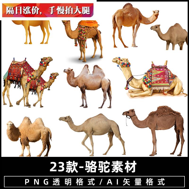 骆驼沙漠卡通手绘剪影一群骆驼png免扣图片免抠透明背景ps素材