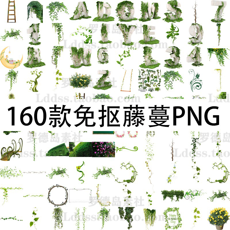 PNG免抠图片素材藤条蔓数字英文绿色树叶花枯枝藤条边框装饰设计