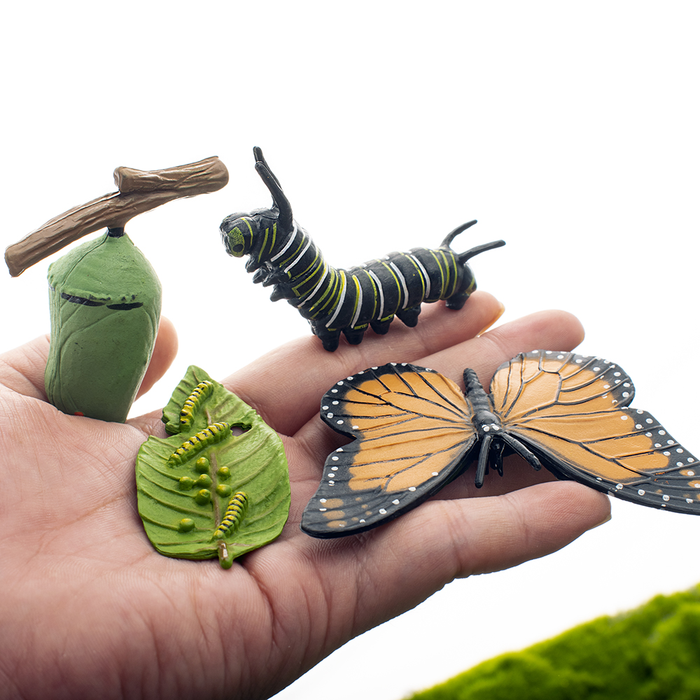蝴蝶成长周期模型昆虫成长过程毛毛虫模型儿童玩具早教认证玩具