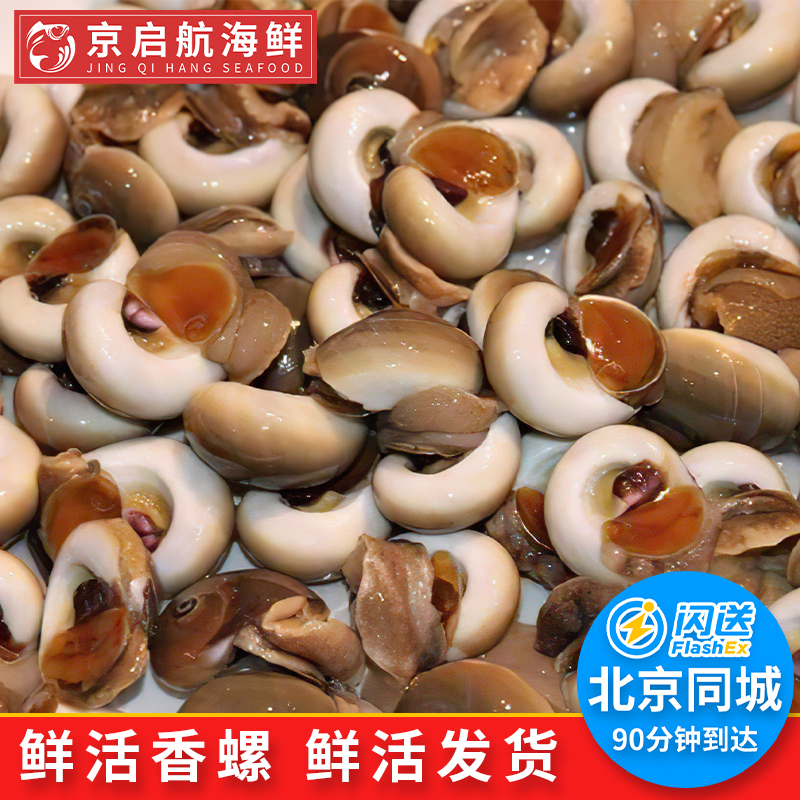 500g 北京闪送大香螺新鲜活海鲜水产玉螺螺类大田螺大小海螺泥螺