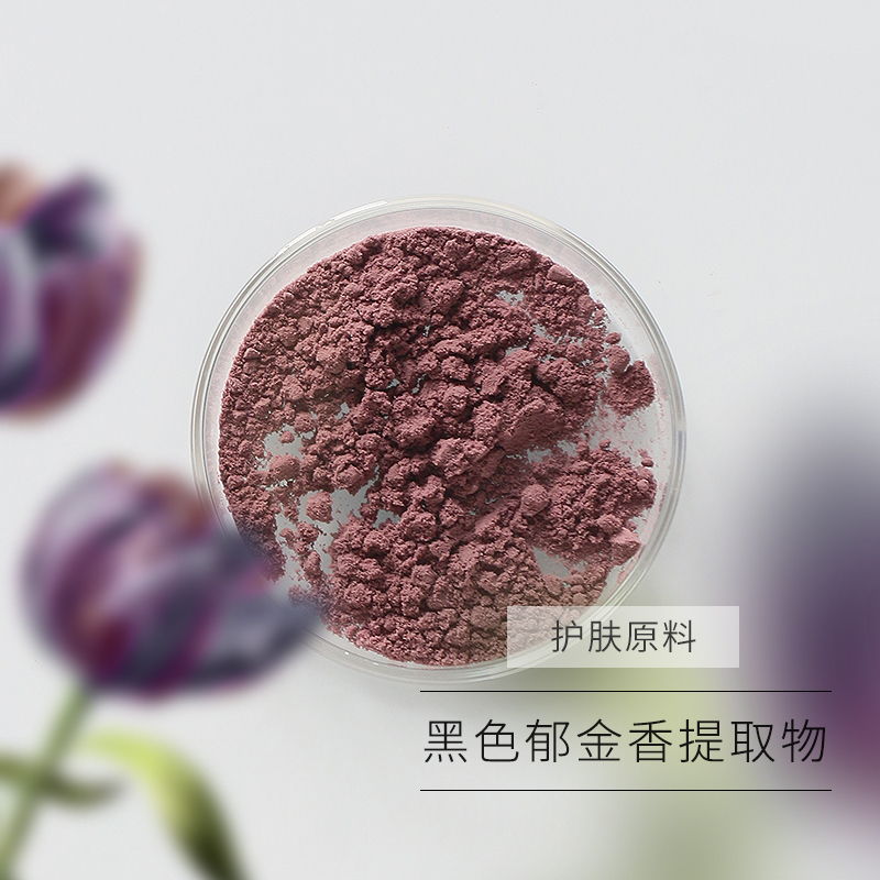 青荷护肤原料-黑色郁金香提取物  增加表皮层厚度 紫色粉末状