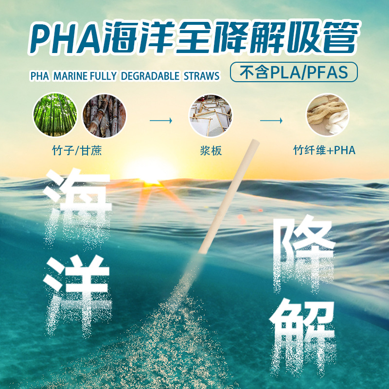pha海洋全降解吸管不含pla一次性独立包装透明甘蔗渣竹粉吸管