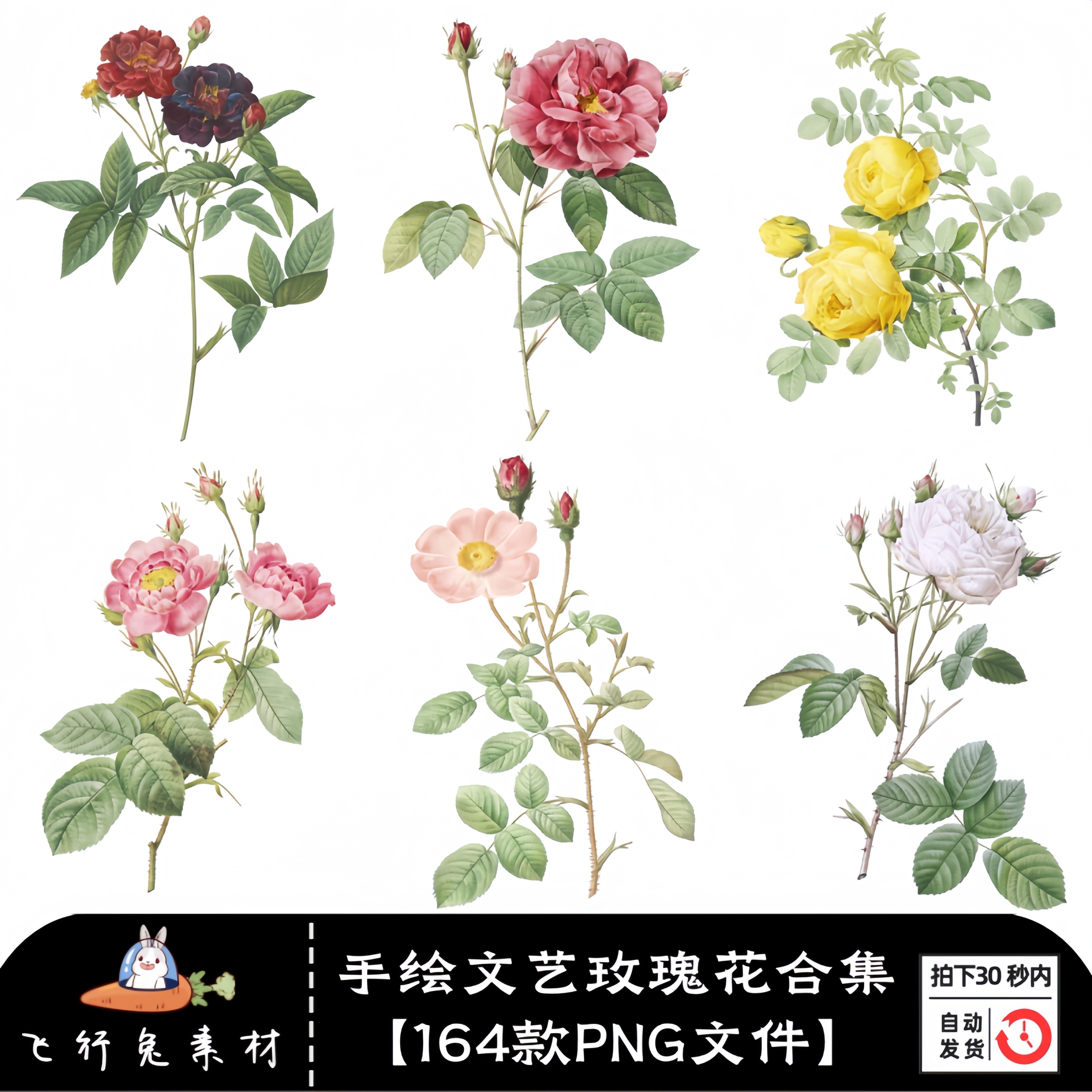 文艺范复古手绘水彩植物玫瑰花卉花朵插画高清PNG免抠图片设计素