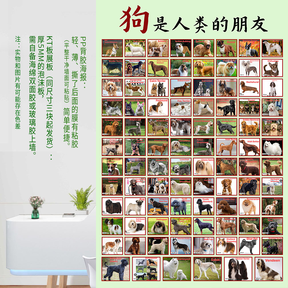 狗是人类的朋友动物名犬宠物图集海报贴画写真PP背胶纸打印定制