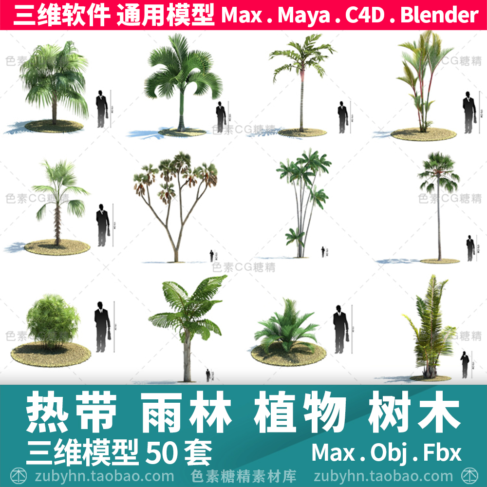 热带雨林岛屿植物灌木椰子树木铁树3d三维模型mayamaxc4dBlender