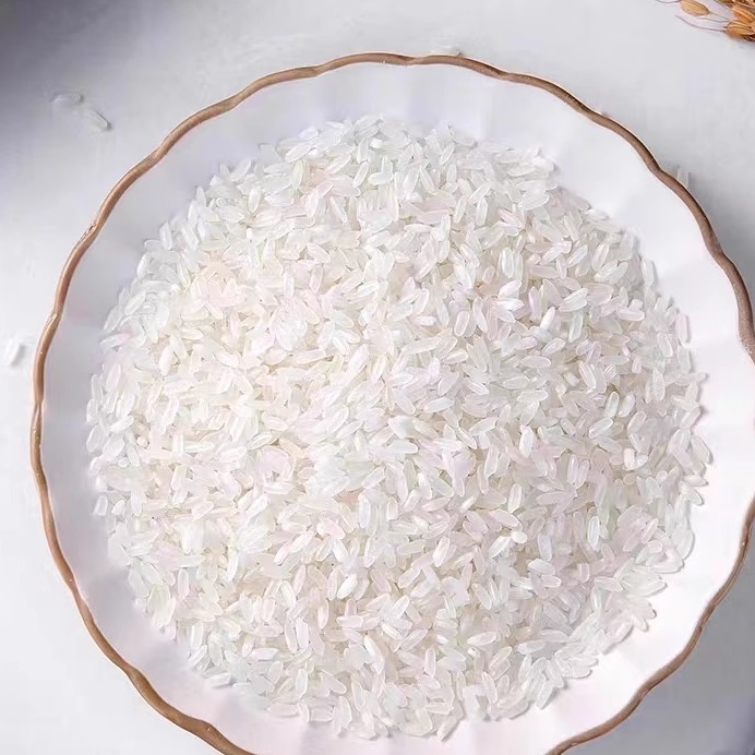 长粒香大米1斤真空装软香米金龙鱼六步生态稻花香米500克小包装米