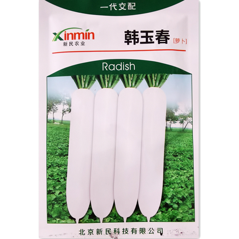 韩国玉春白水果萝卜种子直筒型生长快55-60天农家庭院种孑籽大全