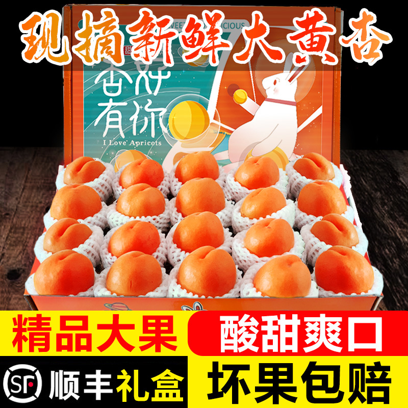 杏子水果
