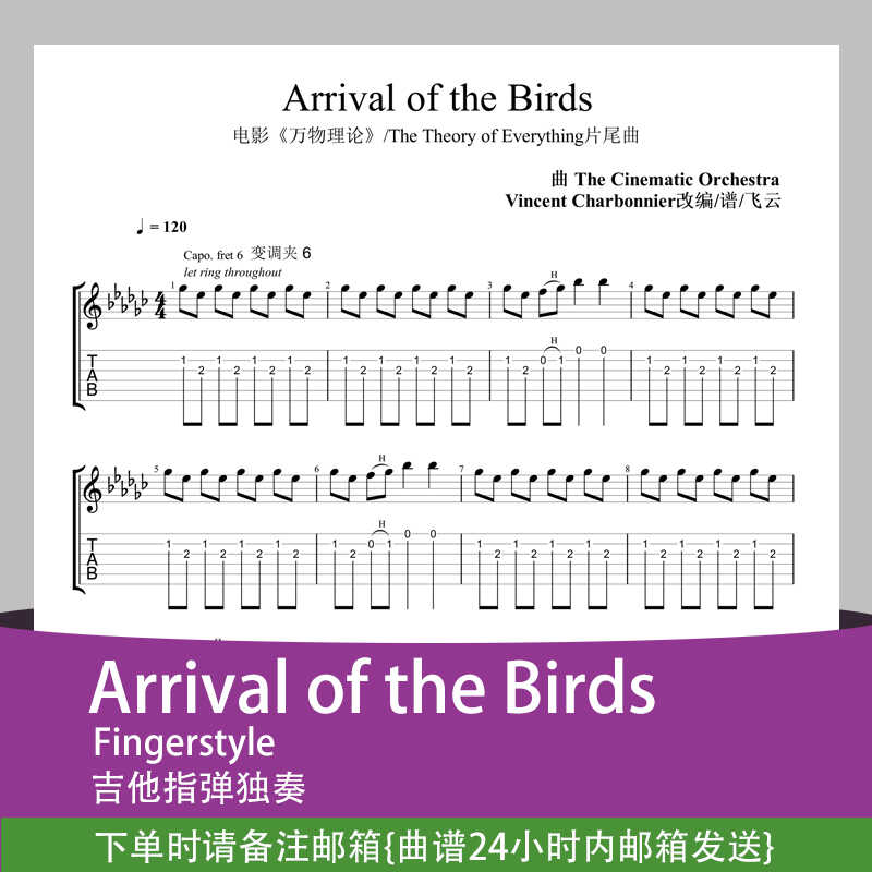 Arrival of the Birds-指弹吉他谱，电影《万物理论》片尾曲扒谱