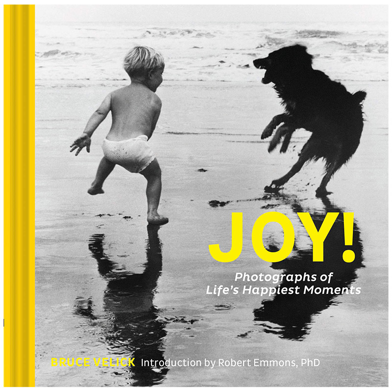 【现货】Joy!快乐! 生活中快乐时刻的照片 开心时刻抓拍摄影集 英文原版 喜悦心情治愈系摄影集照片册书籍进口艺术画册