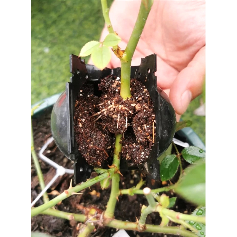 植物高压繁殖盒生根器花卉果树嫁接盒控根器高空压条扦插生根育苗