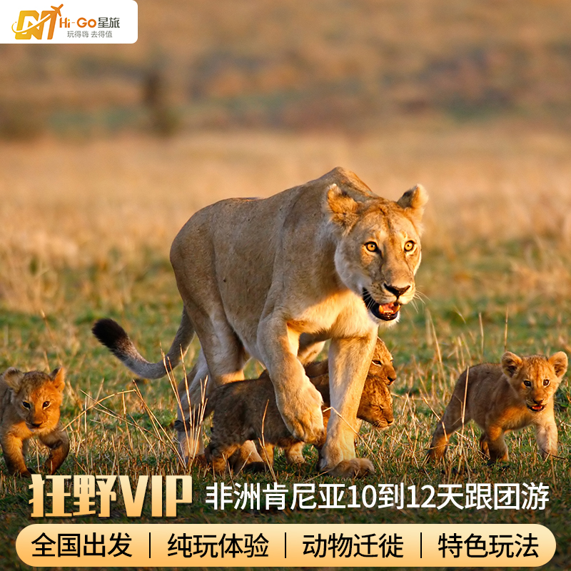 含机票 非洲肯尼亚旅游马赛马拉国家公园动物大迁徙10天7晚跟团游