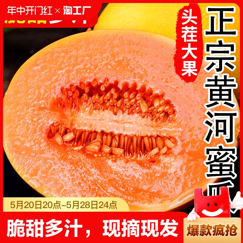 黄河蜜瓜甜瓜10水果新鲜当季整箱斤沙漠黄金哈密瓜香瓜羊角脆