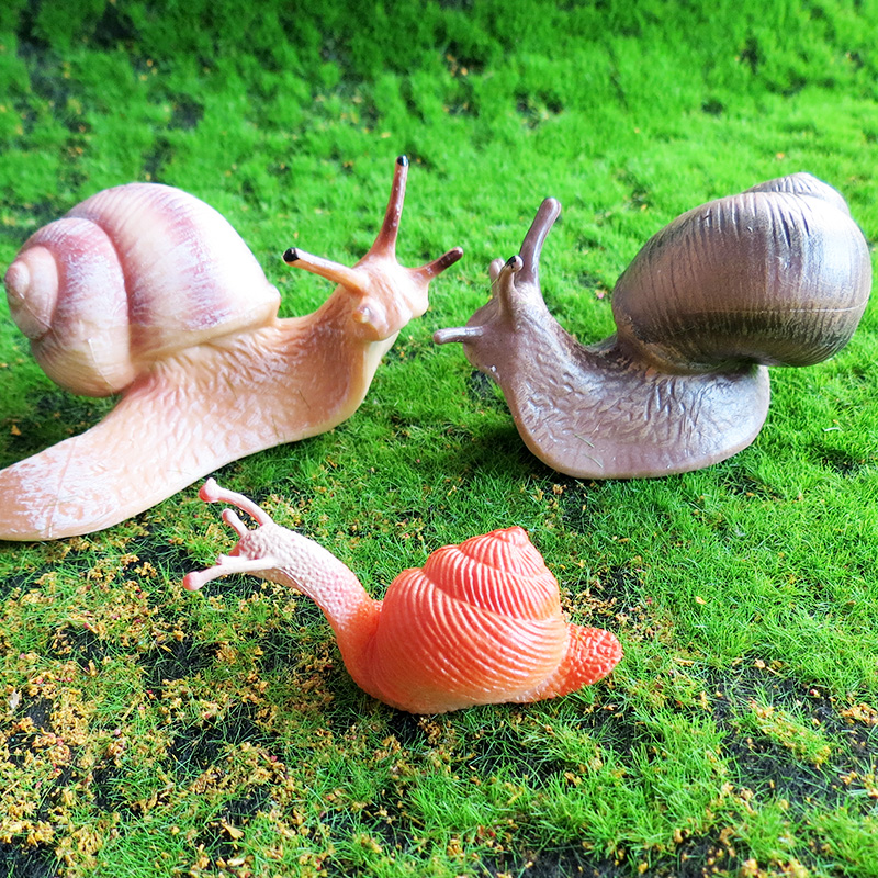仿真动物蜗牛模型昆虫小蜗牛早教认知儿童玩具庭院微景观摆件大号
