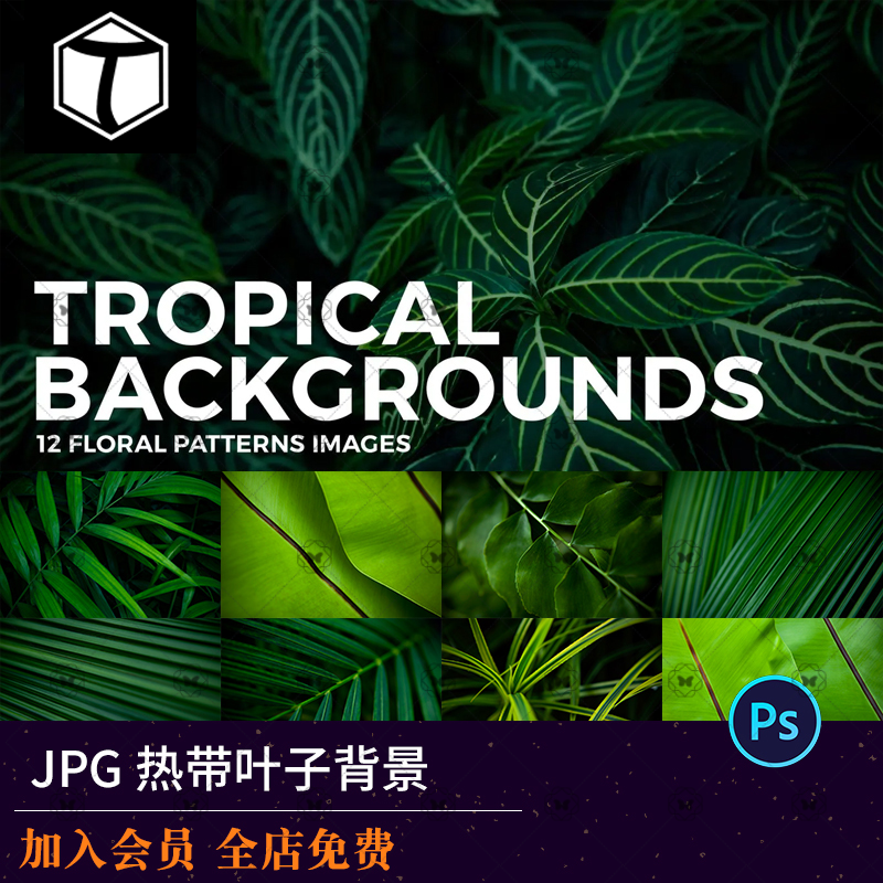 简约热带植物芭蕉叶绿色叶子绿植背景JPG高清图片背景设计素材图